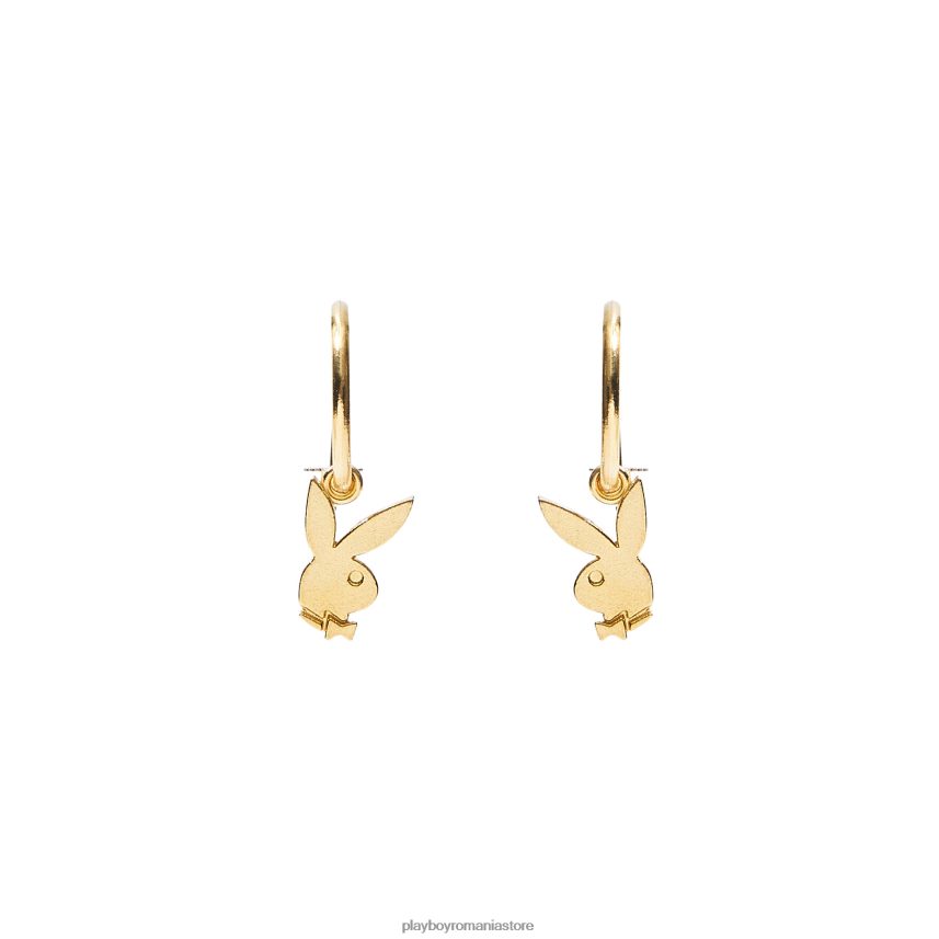 Playboy aur bărbați cercuri de iepuraș accesorii 6NT0ZV879