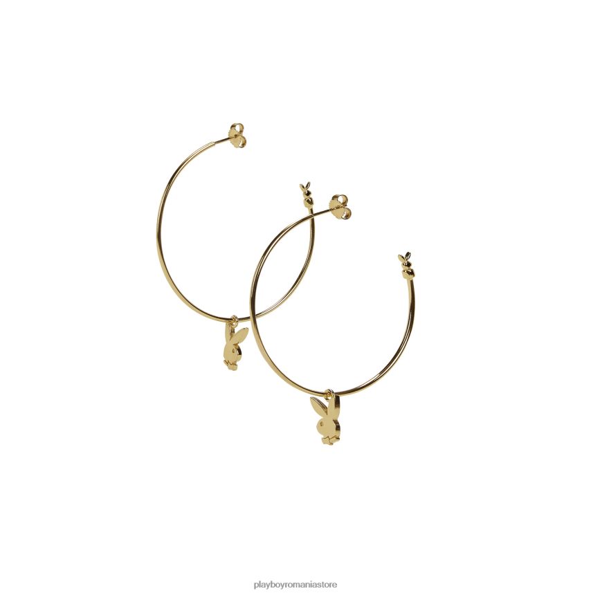 Playboy aur femei cercuri de iepuraș accesorii 6NT0ZV1634