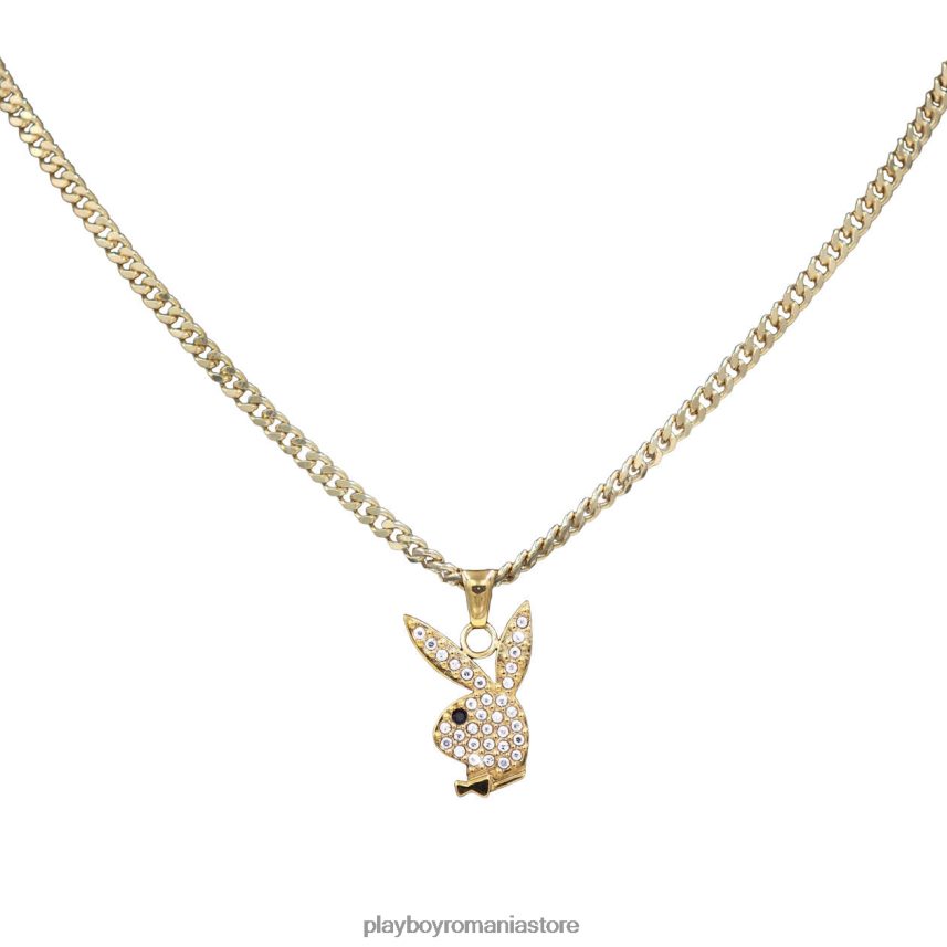 Playboy aur femei șocul delicat accesorii 6NT0ZV1644